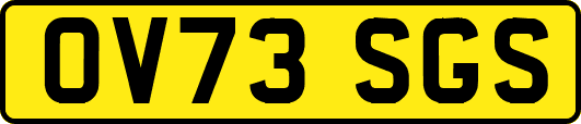 OV73SGS