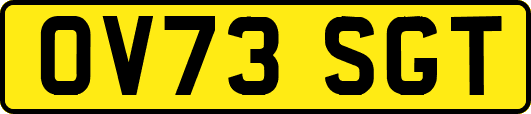 OV73SGT
