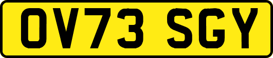 OV73SGY