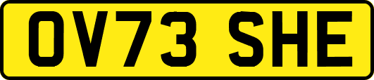 OV73SHE
