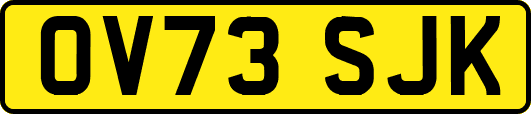 OV73SJK