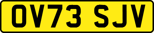 OV73SJV