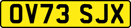OV73SJX