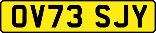 OV73SJY