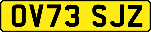 OV73SJZ