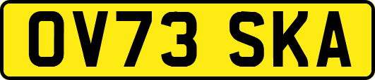 OV73SKA