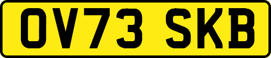 OV73SKB
