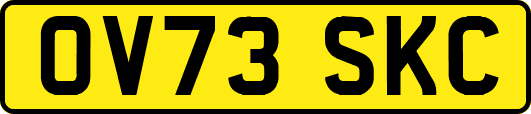 OV73SKC