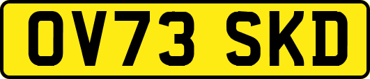 OV73SKD