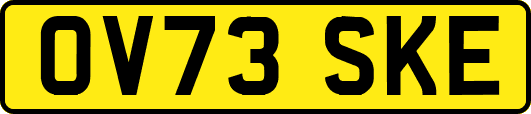 OV73SKE