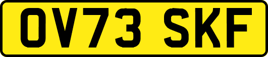 OV73SKF