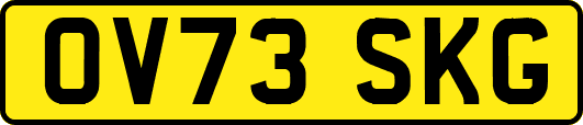 OV73SKG