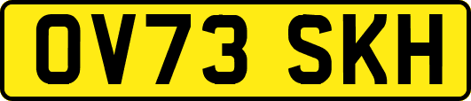 OV73SKH