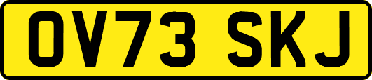 OV73SKJ