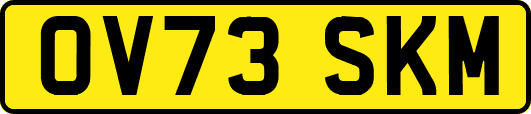 OV73SKM