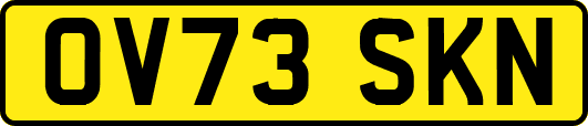OV73SKN