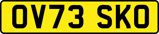 OV73SKO