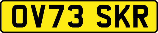 OV73SKR