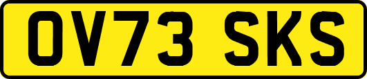 OV73SKS