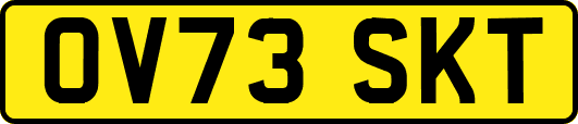 OV73SKT