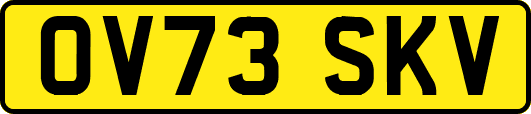 OV73SKV