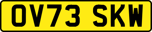OV73SKW