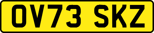 OV73SKZ