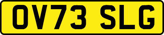 OV73SLG