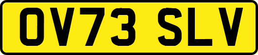 OV73SLV