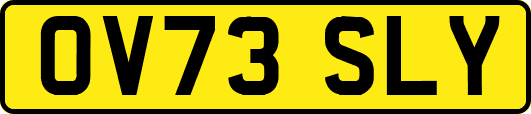 OV73SLY