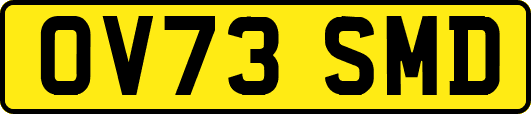 OV73SMD