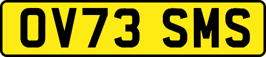 OV73SMS