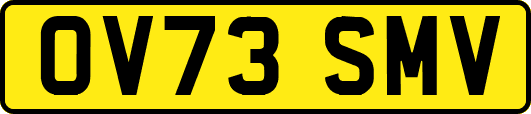 OV73SMV