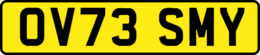 OV73SMY