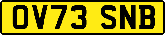 OV73SNB