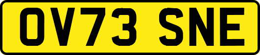 OV73SNE