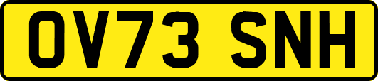 OV73SNH