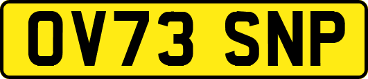 OV73SNP