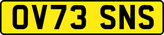 OV73SNS