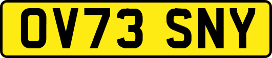 OV73SNY