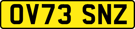 OV73SNZ