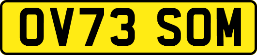 OV73SOM