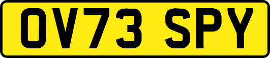 OV73SPY