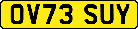 OV73SUY