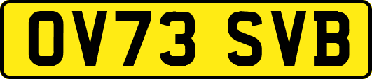 OV73SVB