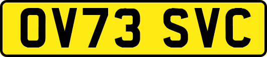 OV73SVC