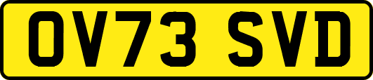 OV73SVD