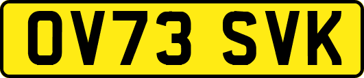 OV73SVK