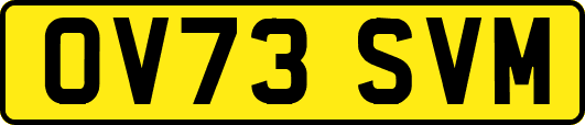 OV73SVM