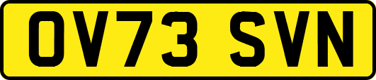 OV73SVN
